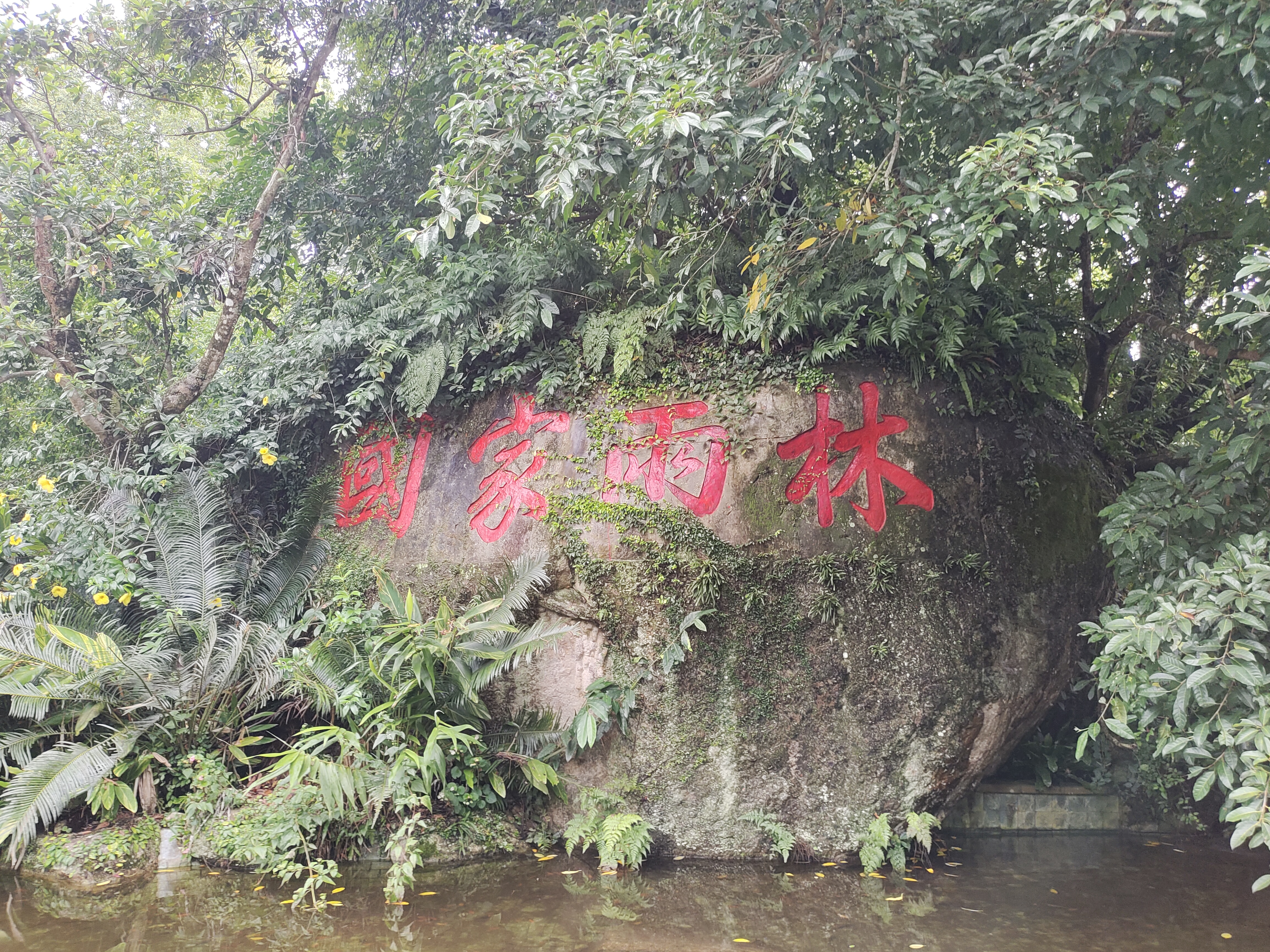 64d5d0cad8362.jpg